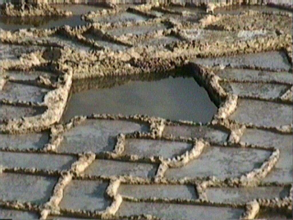 Saltpans an der Xweini Bay