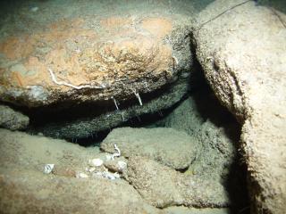 In der Billinghurst Cave