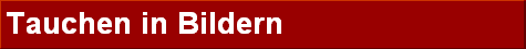 Tauchen in Bildern